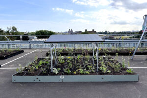 roof-garden-24-01