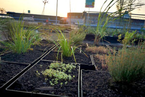 roof-garden-24-07